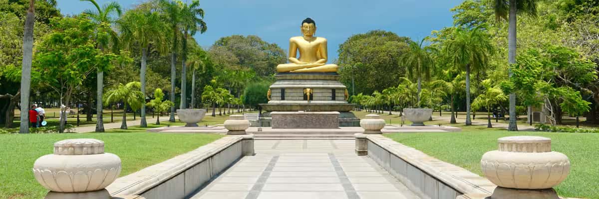 Gallery view 3