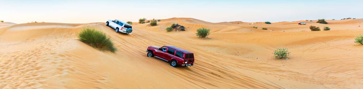 Gallery view 2
