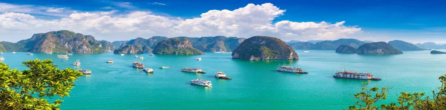 Truly Vietnam