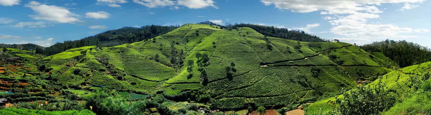 Luxury Sri Lanka featuring Yala Welligama Nuwara with Ella