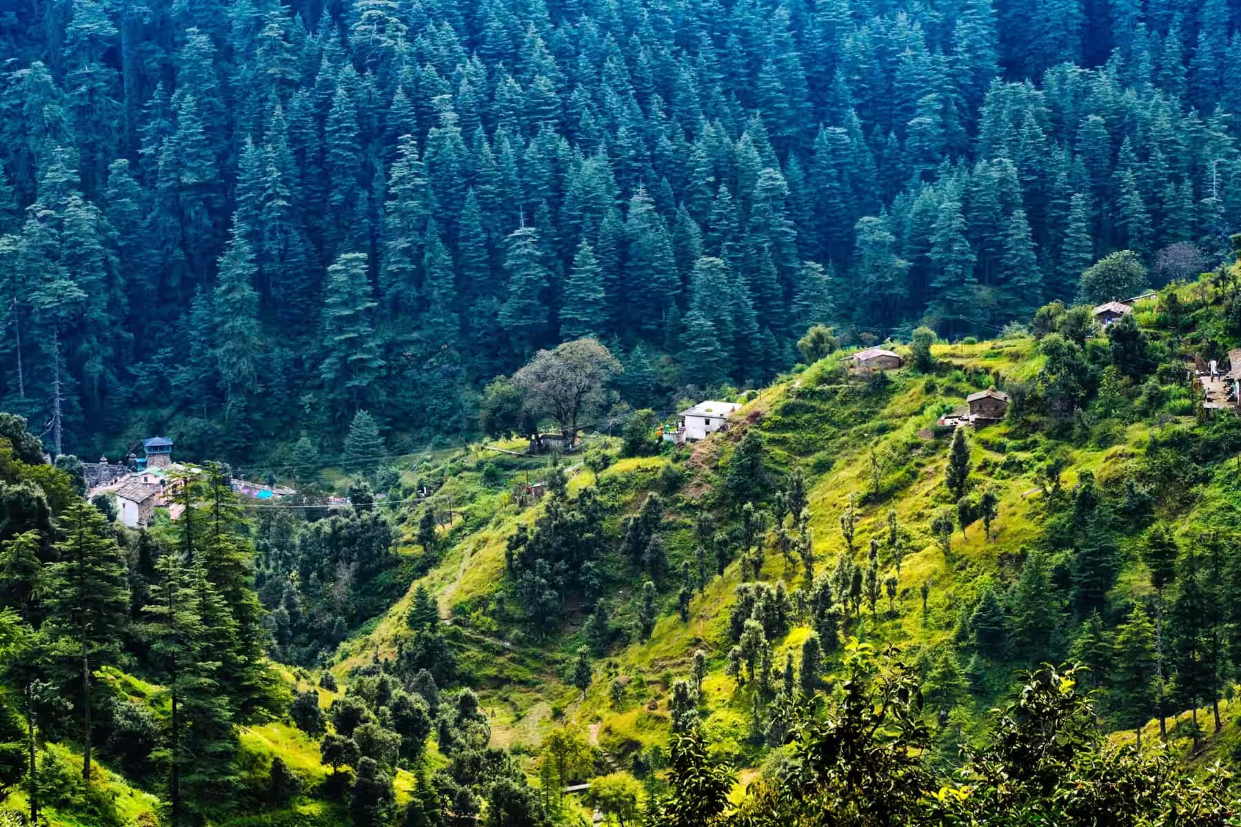 Uttarakhand - Nainital with Ranikhet