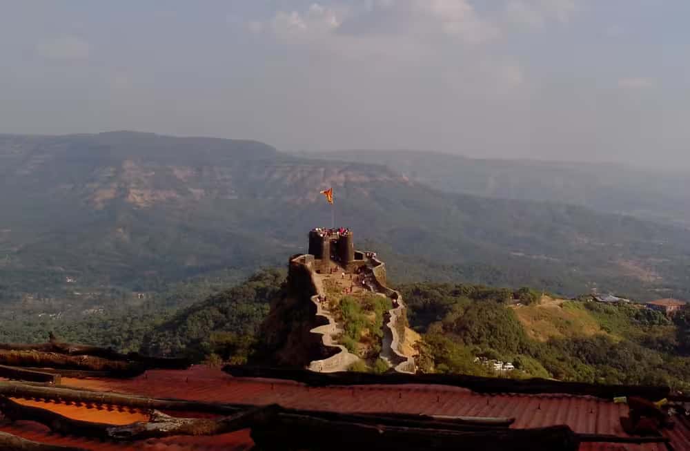 Gallery view 2