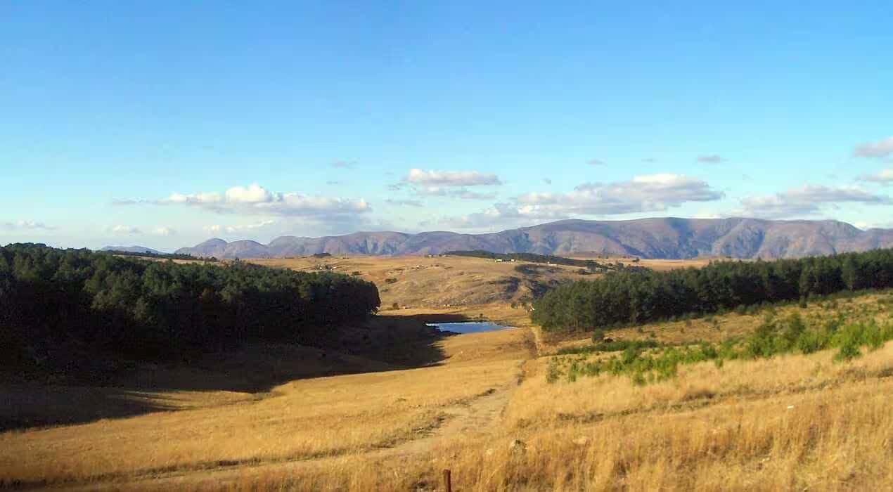 South African Special