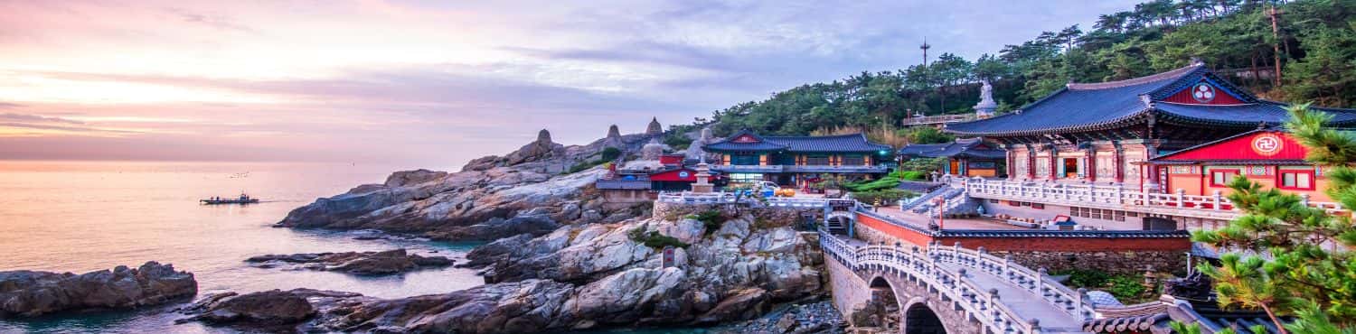 Exciting Seoul With Busan
