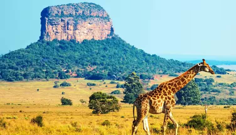 Spectacular South Africa - Fixed Departures