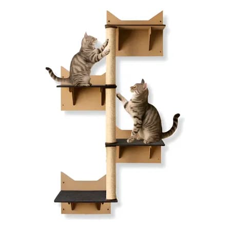 Arranhador Com Plataformas Para Gatos Escalador De Parede Para Gato Poste De Sisal Escalada Com Prateleiras Boxfan Ocre