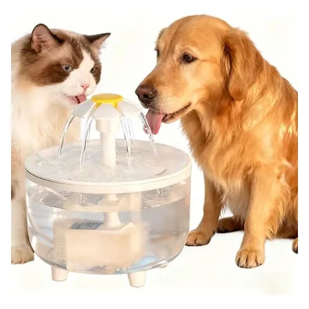 Fonte Bebedouro Automático Usb Miw 1,5l Para Gatos E Cães 127/220v Transparente