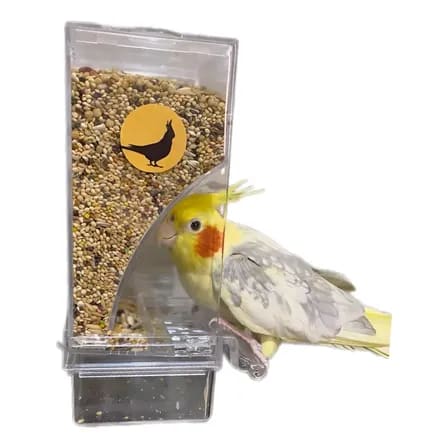 Tratador Alimentador Gaiola Comedouro Ave Pássaros Soltos Transparente
