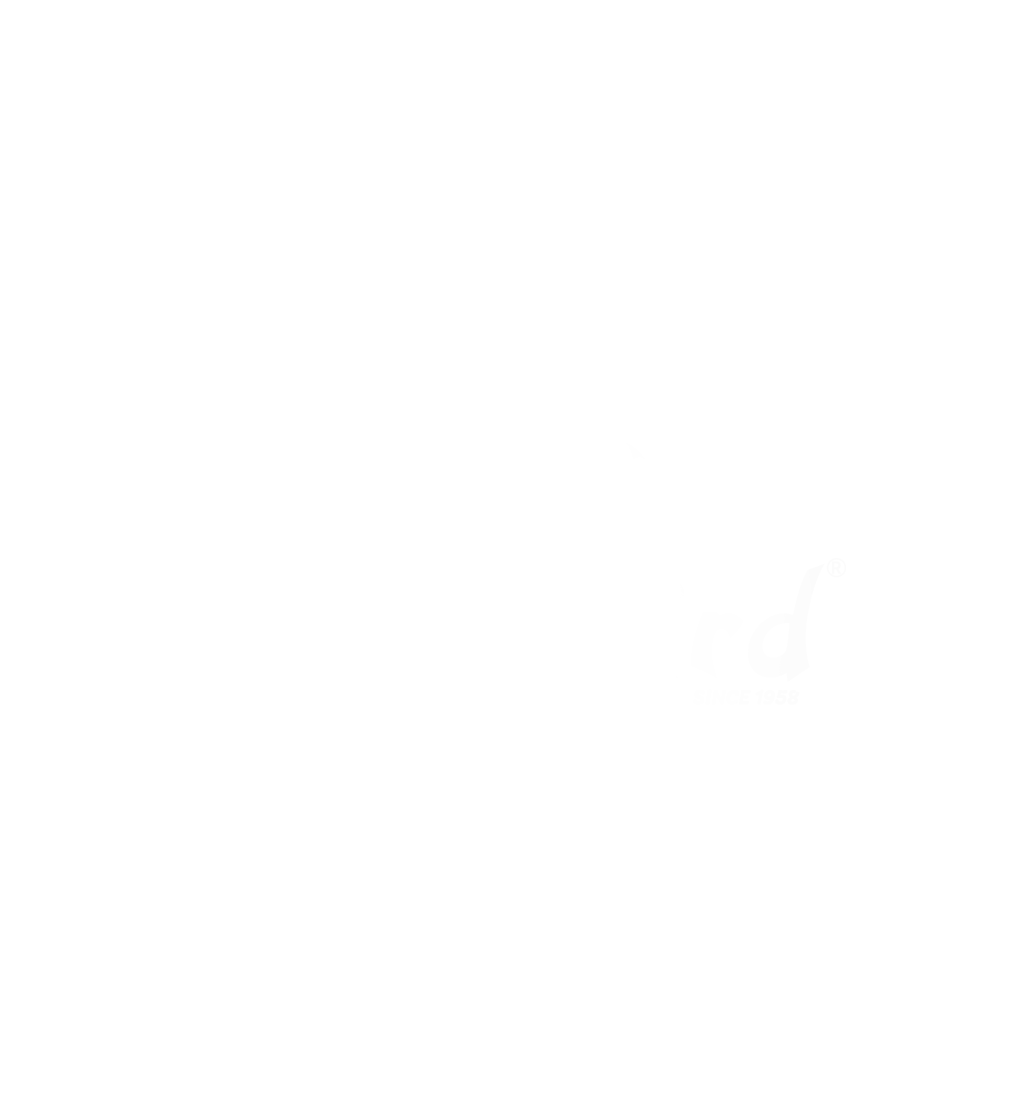 Glossy Bird