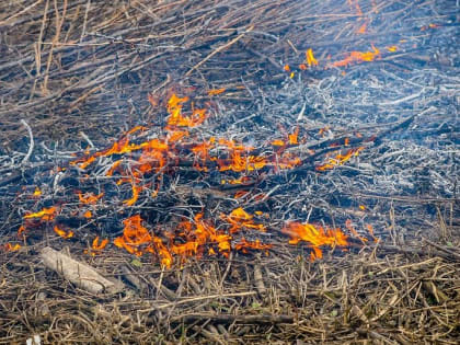 Зимнее возгорание сухой травы может привести к трагеди