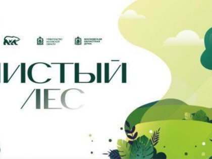 Субботник по очистке леса в Подольске