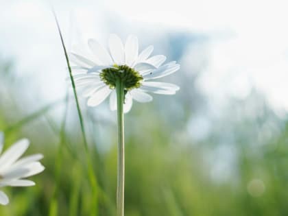 Новые инициативы по улучшению городской инфраструктуры