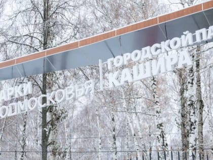 Елочный марафон проходит в городском парке Каширы
