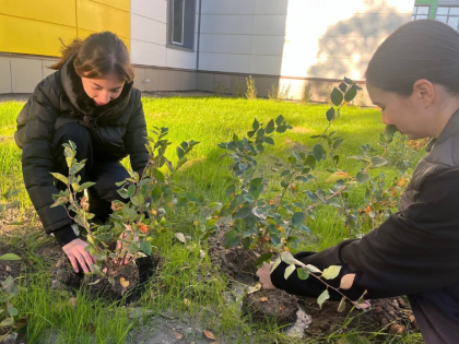 Акция «Юннатская страна» в Павловском Посаде