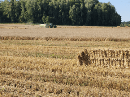 Новые инициативы в Люберцах
