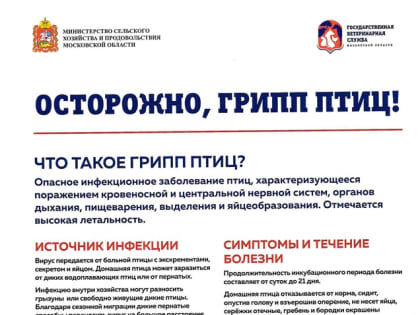 Осторожно: грипп птиц!