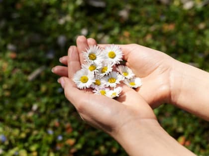 Жаркие выходные в Подмосковье