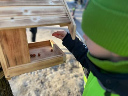 В Центральный парк Ленинского округа поселили шесть белок