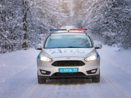 В январе сотрудники Госавтоинспекции Рузского округа проведут оперативно-профилактические рейды