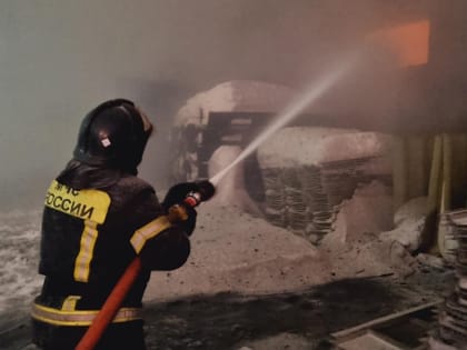 На улице Юности в Люберцах вспыхнула мусорная площадка