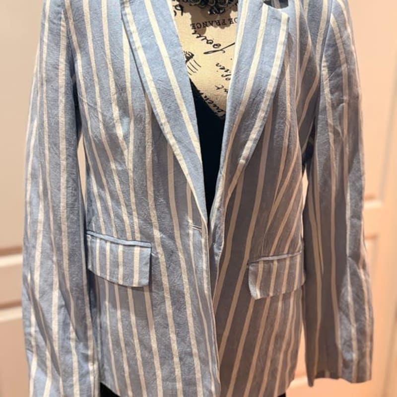 Philosophy Blue and White Striped Blazer