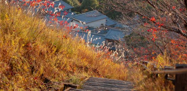 Landscape photograph (topsides) from Honshu, Japan