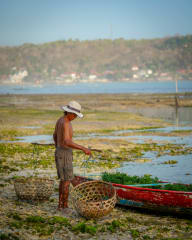 Landscape photograph (topsides) from Indonesia