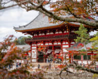 City photograph (topsides) from Japan temples