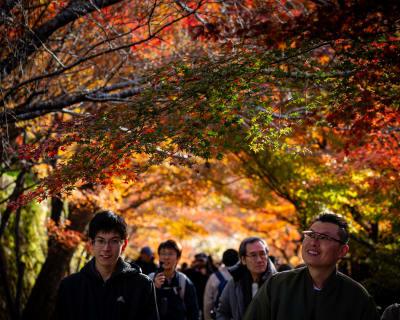 Landscape photograph (topsides) from Honshu, Japan