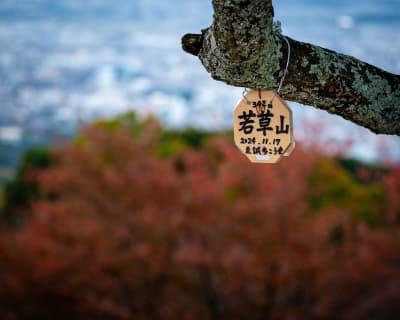 Landscape photograph (topsides) from Honshu, Japan