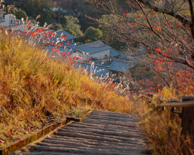 Landscape photograph (topsides) from Honshu, Japan
