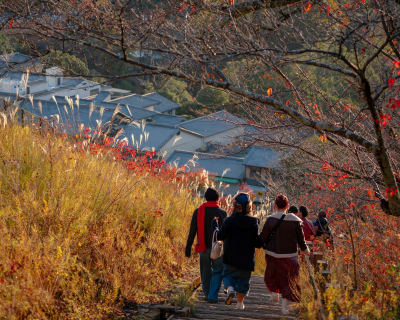 Landscape photograph (topsides) from Honshu, Japan