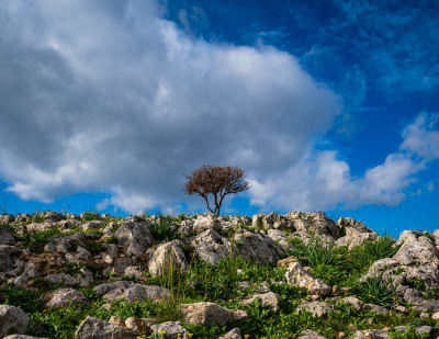 Landscape photograph (topsides) from Greece