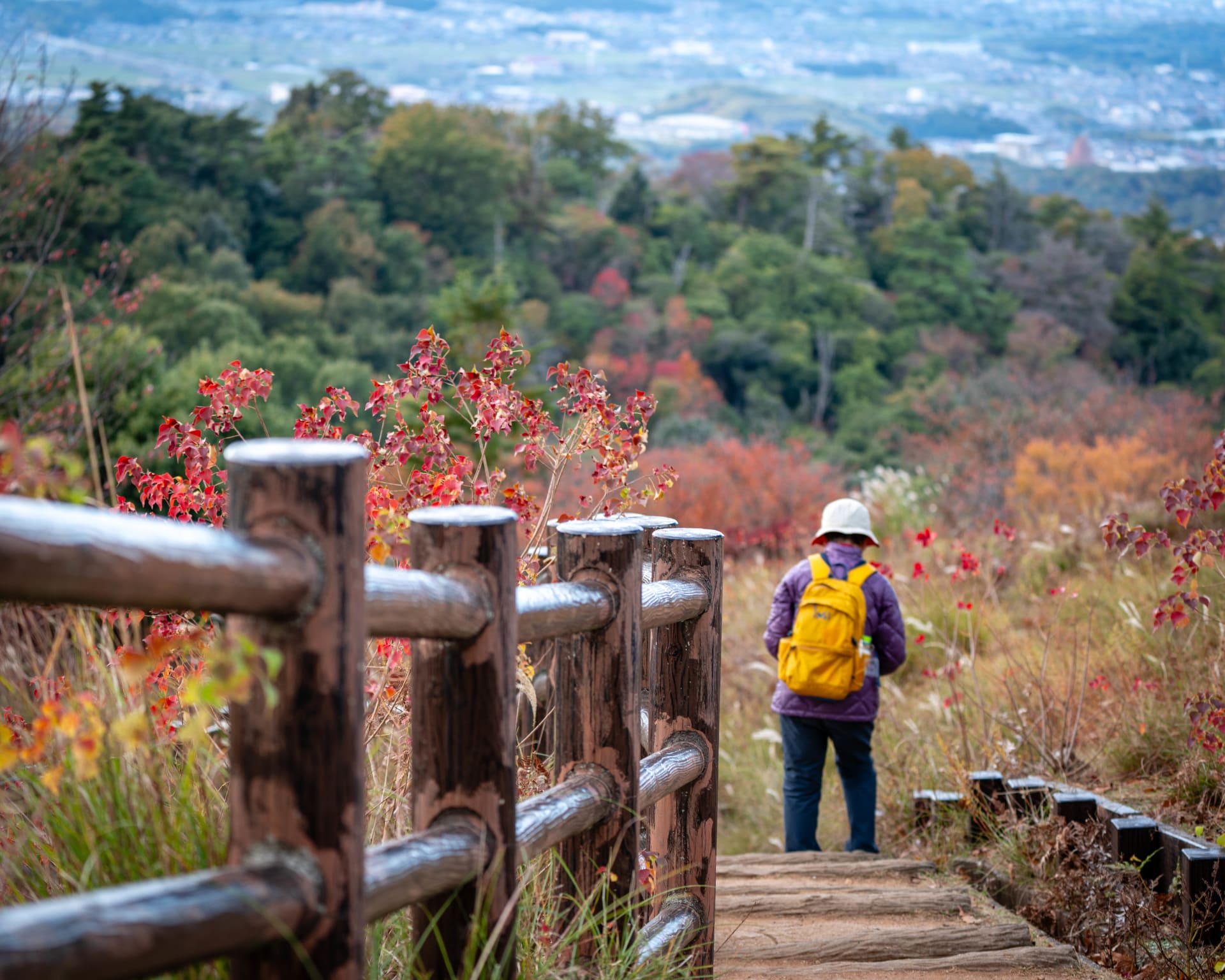 Autumn: landscape photograph from Honshu, Japan