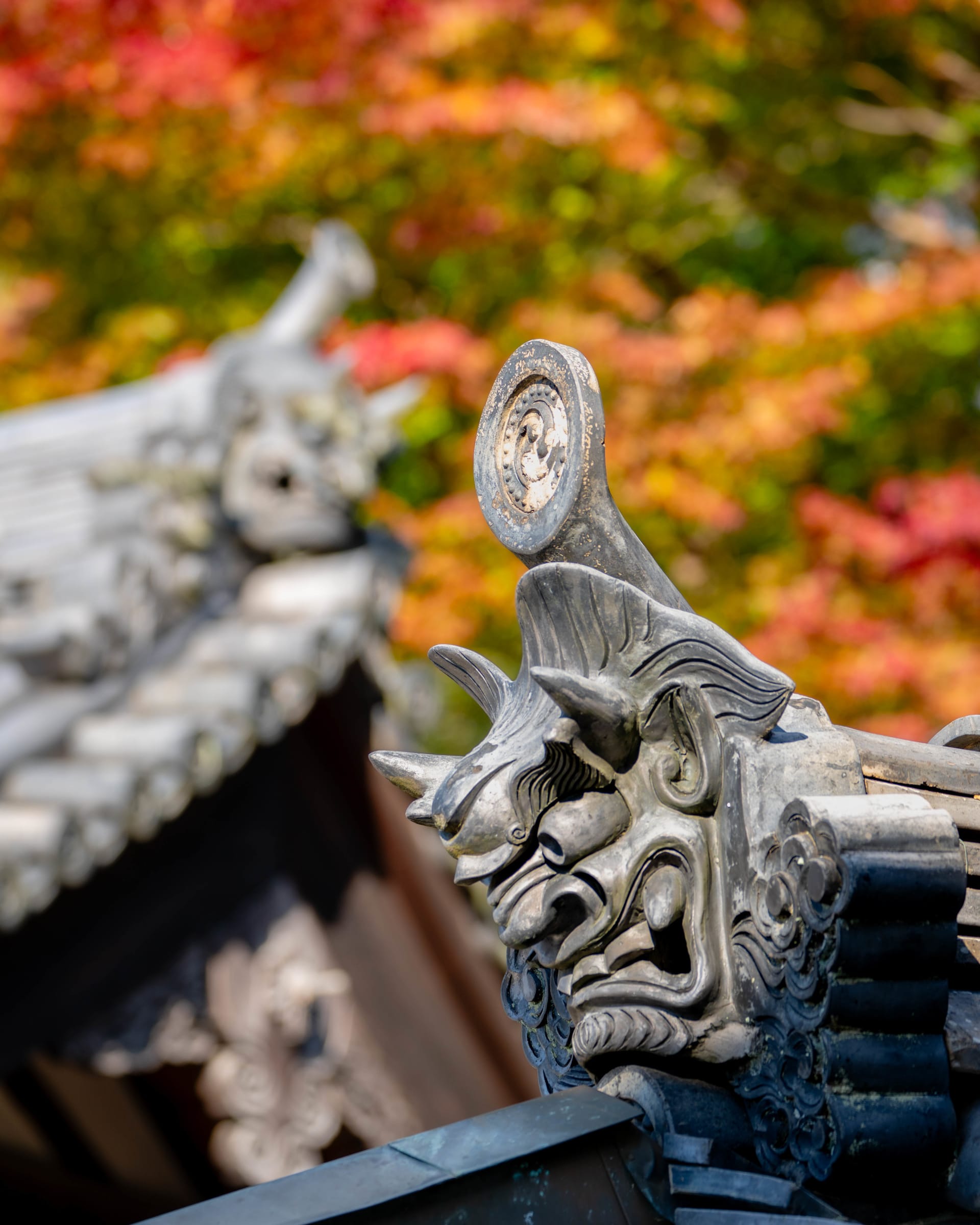 Autumn: landscape photograph from Honshu, Japan