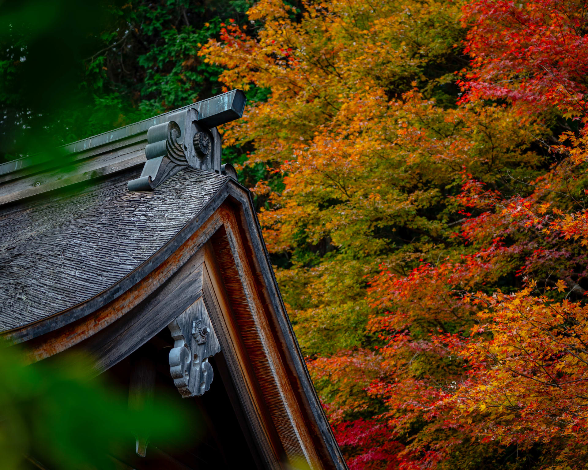 Autumn: landscape photograph from Honshu, Japan