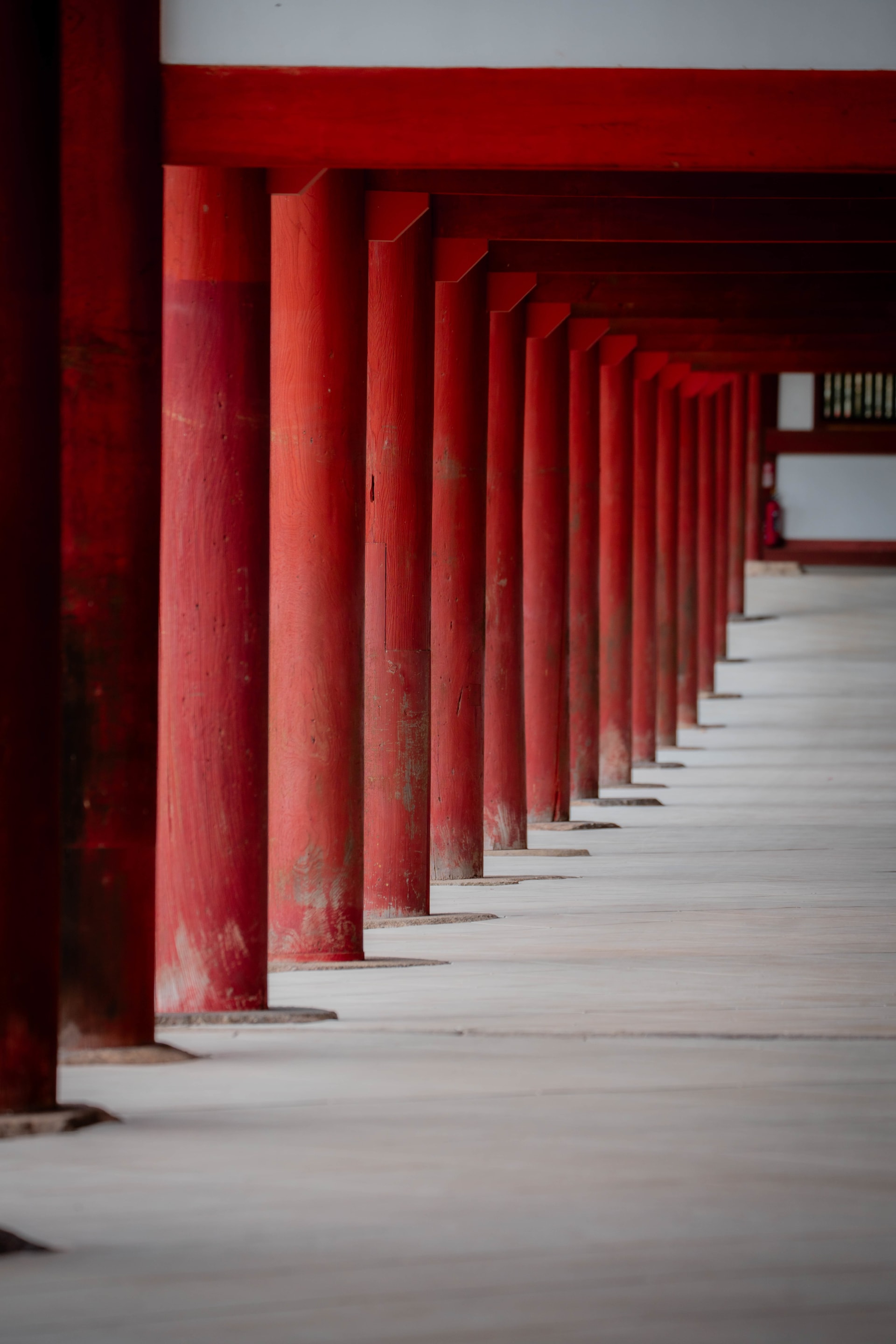 Temples: cityscape photograph from Japan