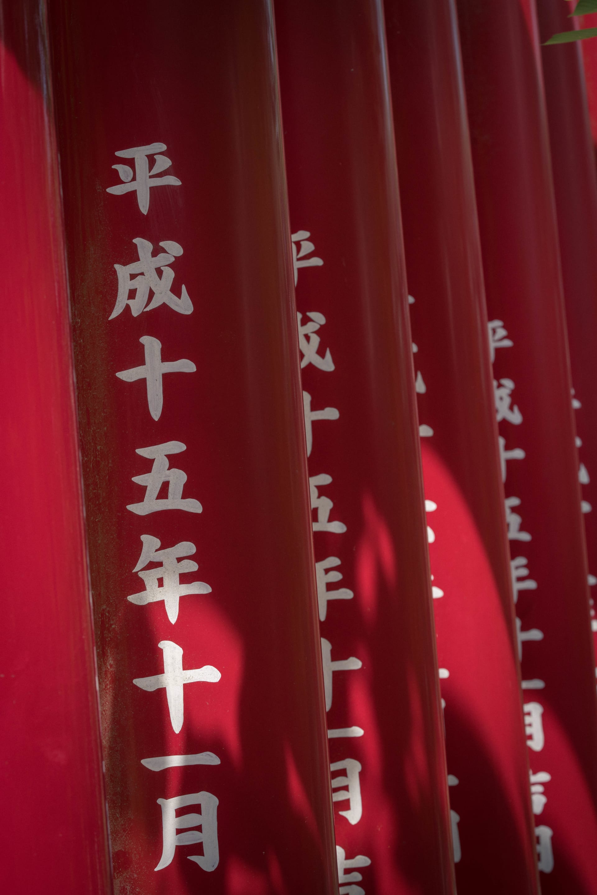 Temples: cityscape photograph from Japan