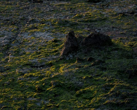 Landscape photograph (topsides) from Japan coast