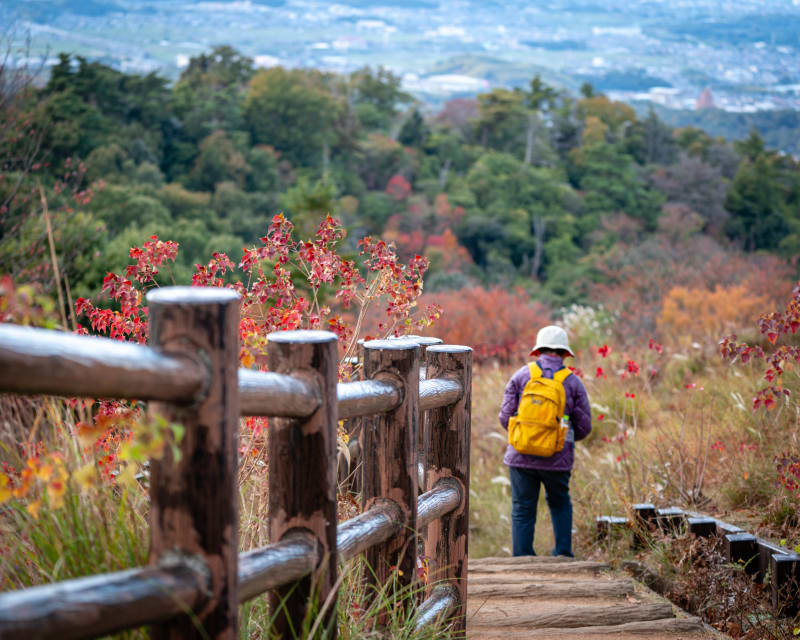 Autumn: landscape photograph from Honshu, Japan