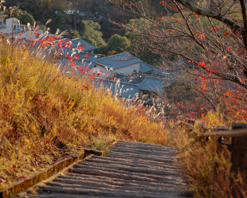 Autumn: landscape photograph from Honshu, Japan