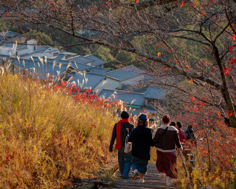 Autumn: landscape photograph from Honshu, Japan