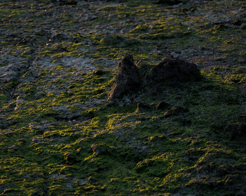 Coast: landscape photograph from Japan
