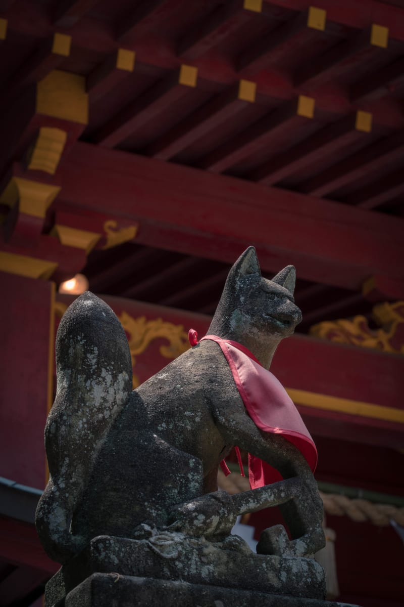 Temples: cityscape photograph from Japan