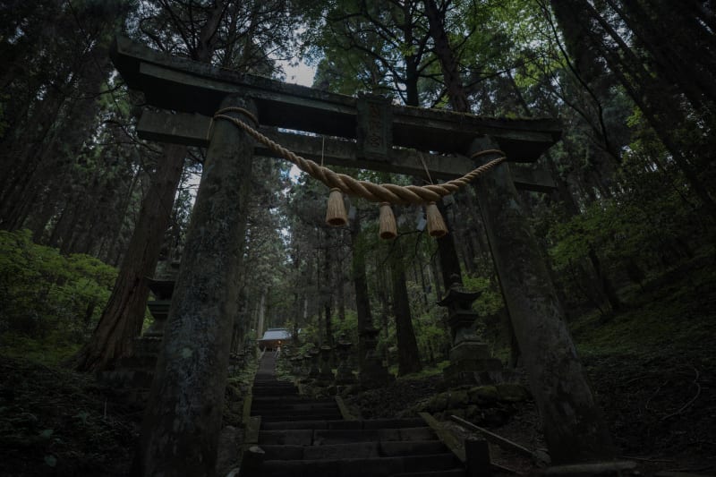Temples: cityscape photograph from Japan