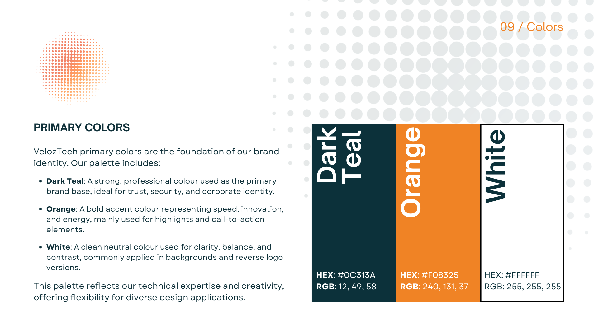 VelozTech Branding & Digital Platform — Image 10