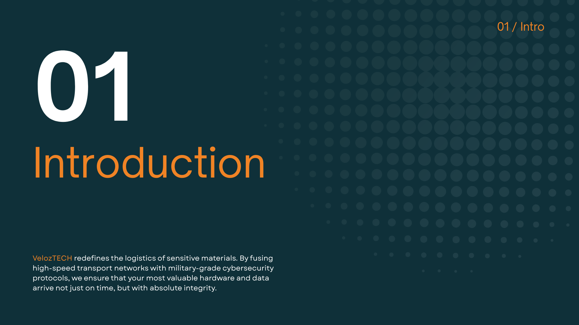 VelozTech Branding & Digital Platform — Image 2