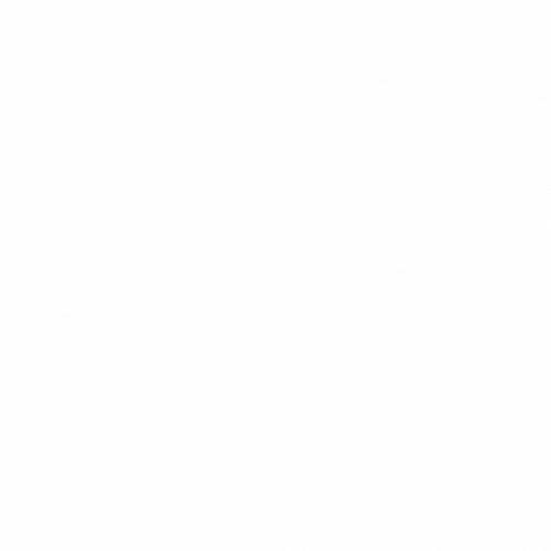 Mangolor — Logo Motion