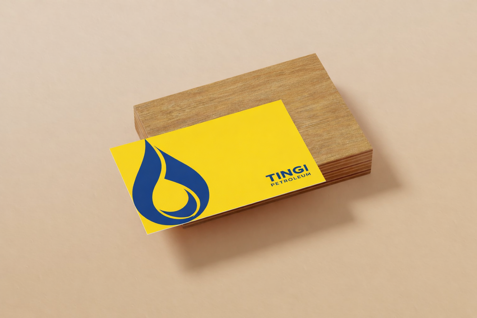 Tingi Petroleum: Engineering Corporate Authority — Image 02