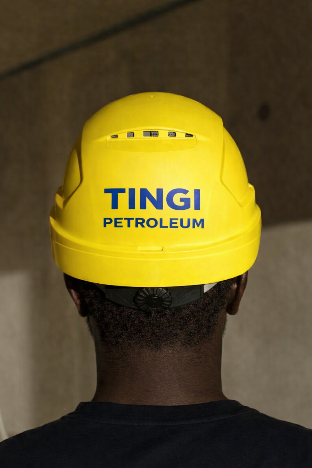 Tingi Petroleum: Engineering Corporate Authority — Image 04